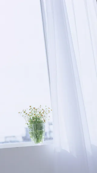 小清新窗户H5背景素材高清