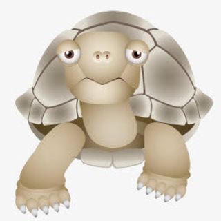 海龟高清仿真动物PNG图标免抠