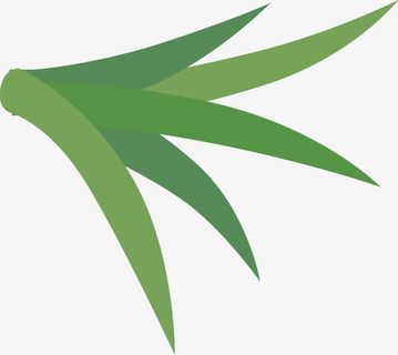 小草青青河边小草免抠