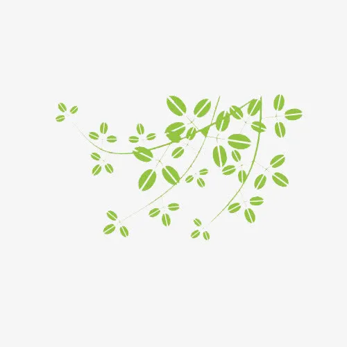 小清新绿叶免抠