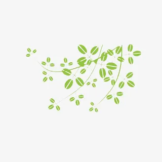小清新绿叶免抠
