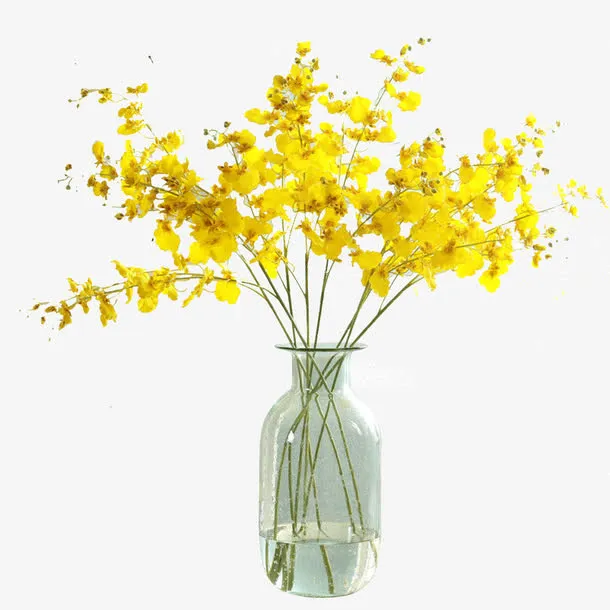 黄色跳舞兰仿真花假花装饰花免抠