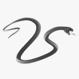 水墨黑色的蛇免抠
