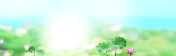 淘宝护肤品相宜本草荷花清新背景banner