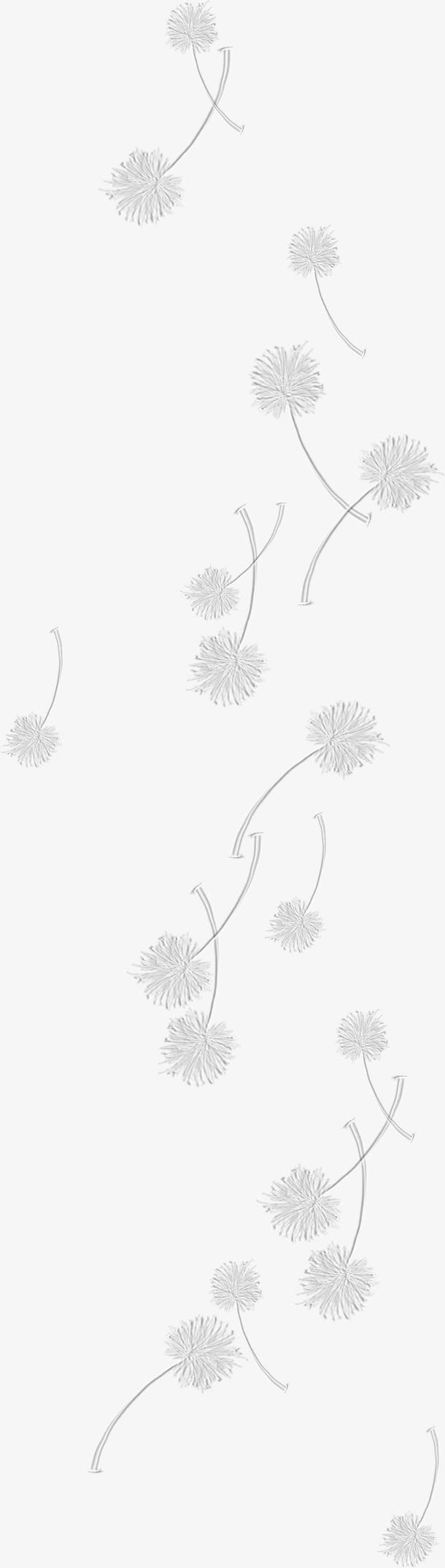 蒲公英免抠