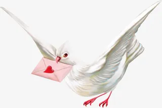 情人节的信笺免抠