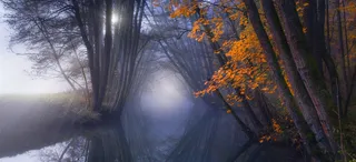 迷雾森林海报背景高清