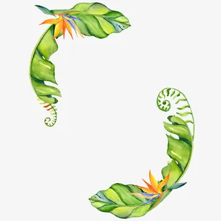 创意绿色植物叶子免抠图免抠