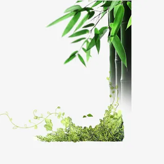 竹子免抠