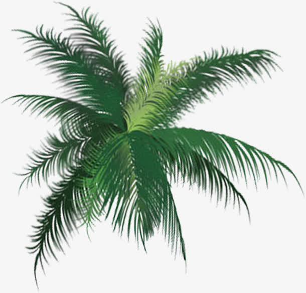 手绘清凉夏日椰子树免抠