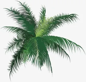 手绘清凉夏日椰子树免抠