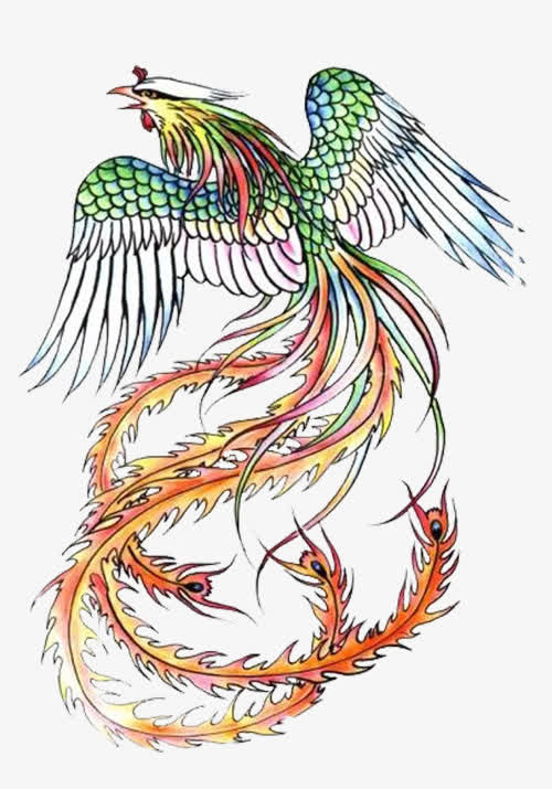 中国传统凤凰免抠
