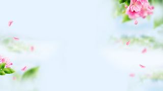 天猫店铺化妆品标题免抠