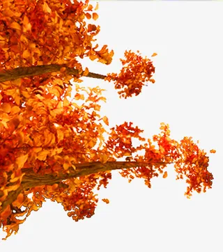 黄色简约树枝装饰图案免抠