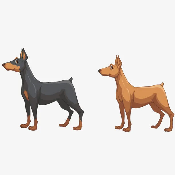 矢量杜宾犬免抠