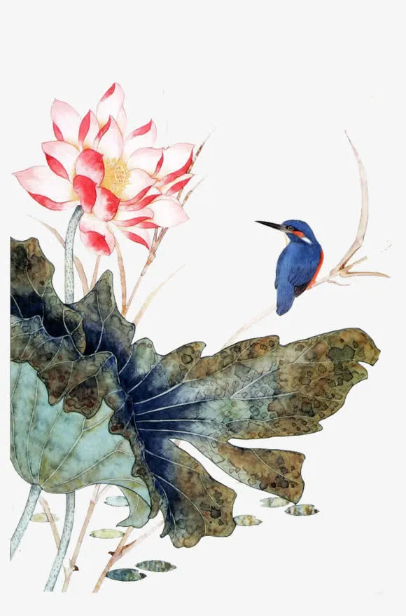 水墨花草免抠