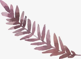 彩绘花卉笔触图案免抠