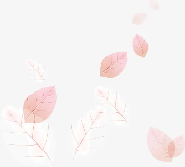 树木树叶免抠
