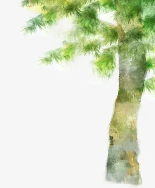 绿树漫画素材下载免抠