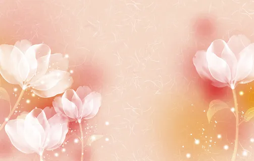 白色透气花朵小清新暖色渐变背景高清 白色透气花朵小清新暖色渐变背景高清