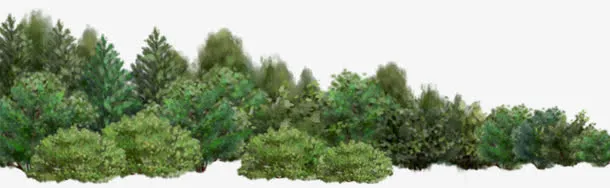 绿色风景区高清摄影树林免抠