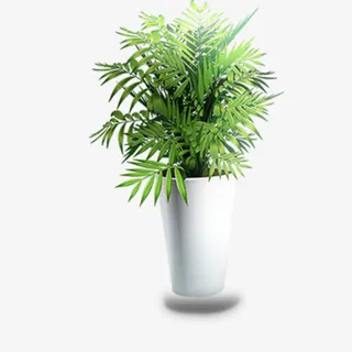 手绘茶杯绿草绿叶免抠