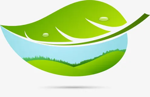 树叶里的青草地免抠 树叶里的青草地免抠