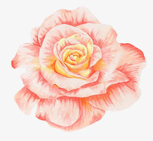花朵免抠