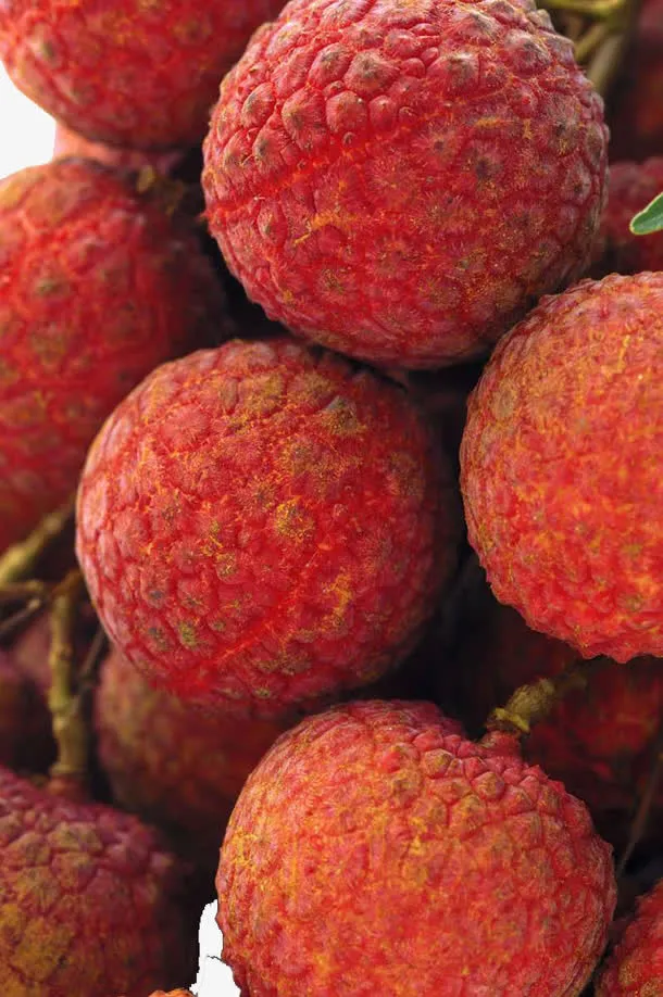 荔枝果实特写免抠