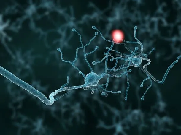 生物科学背景