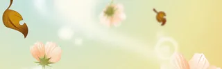 唯美朦胧落叶花朵背景banner