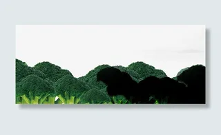 花椰菜山峰免抠