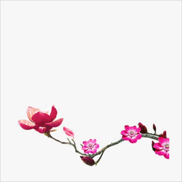 桃花免抠