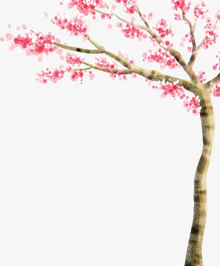 春天粉红色花朵植物免抠