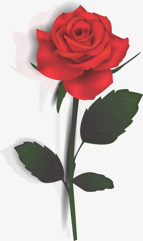 红色情人节玫瑰花朵免抠