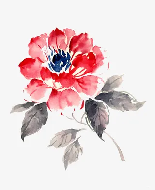 水墨写意牡丹花素材免抠