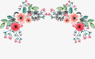 38妇女节小清新美丽花朵边框免抠
