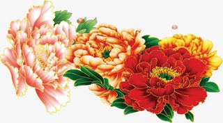 花朵设计节日效果免抠