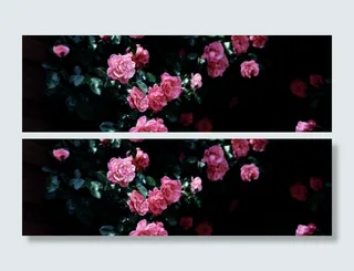 淘宝优雅女装广告高清