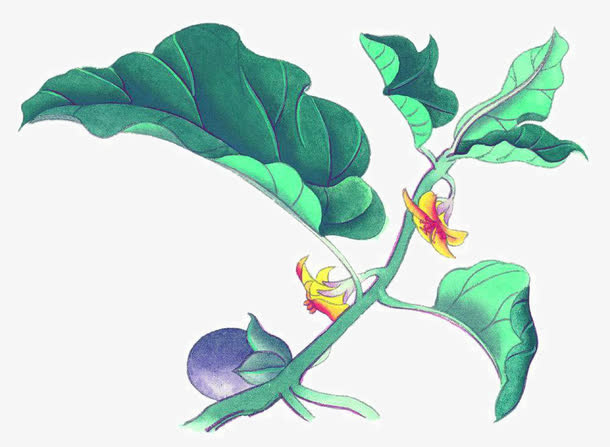 彩墨花草免抠