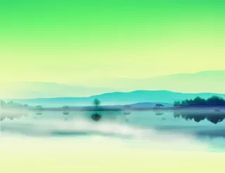 个性风景树影水墨简历免抠