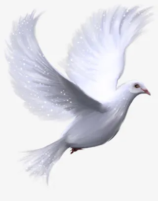 飞翔的白色发光鸽子免抠