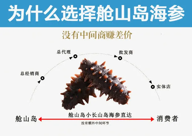 海参详情页图片说明免抠