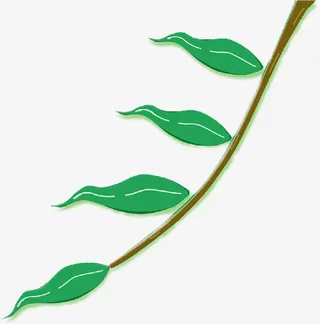 一只柳叶手绘免抠