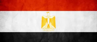 手绘纹理老鹰背景高清