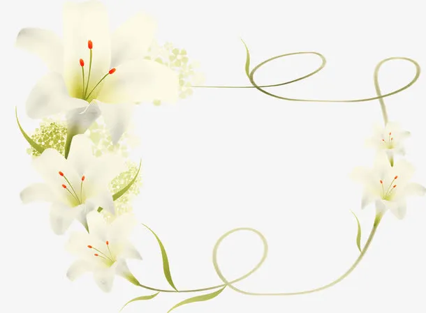 百合花边框免抠