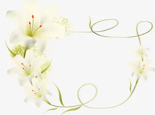 百合花边框免抠