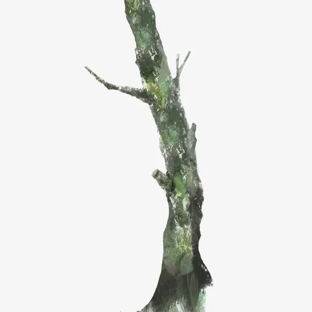 水彩树干免抠
