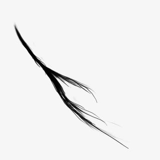 一缕黑色头发免抠