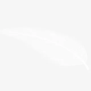 白色的羽毛免抠